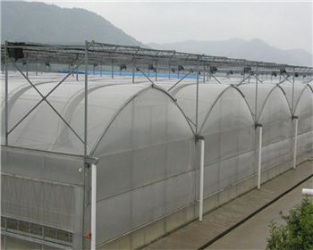 陜西溫室大棚造價